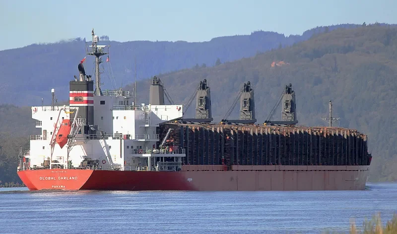 SOFIA K Bulk Carrier IMO 9378838