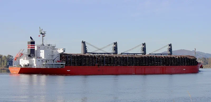 SOFIA K Bulk Carrier IMO 9378838 photo 2