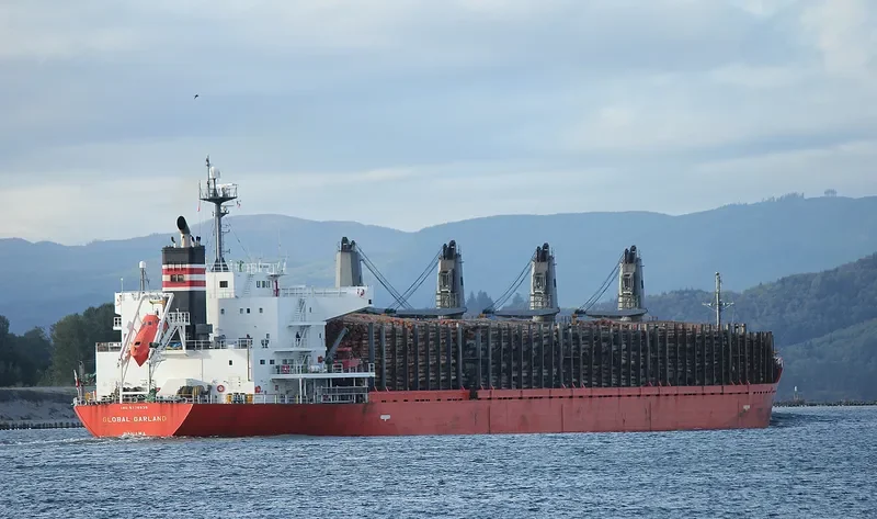 SOFIA K Bulk Carrier IMO 9378838 photo 4