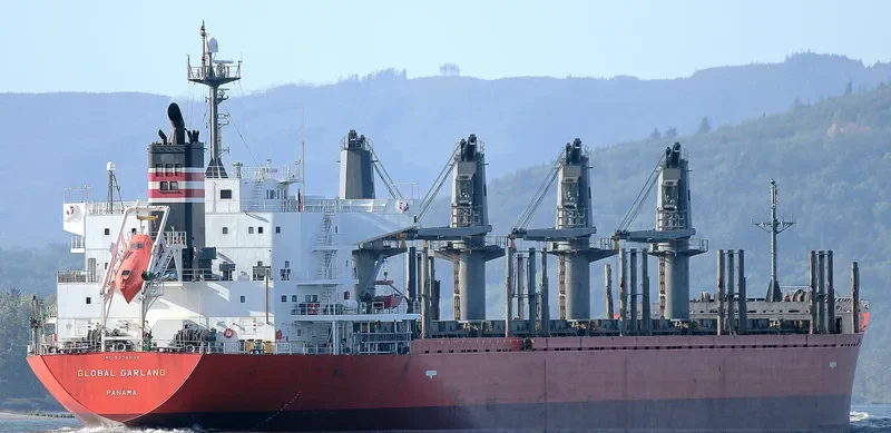 SOFIA K Bulk Carrier IMO 9378838 photo 6