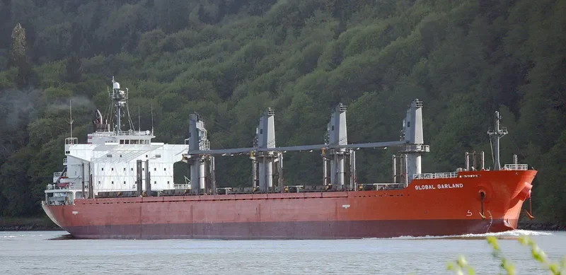 SOFIA K Bulk Carrier IMO 9378838 photo 8