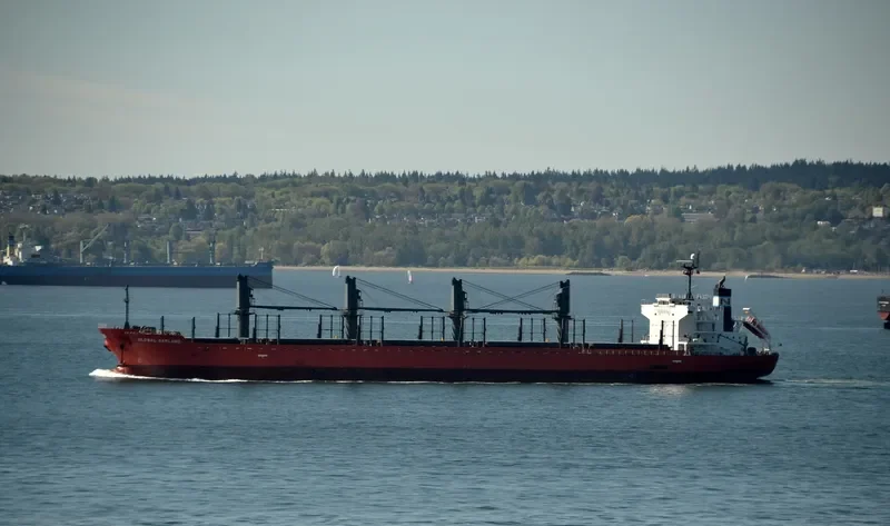 SOFIA K Bulk Carrier IMO 9378838 photo 10