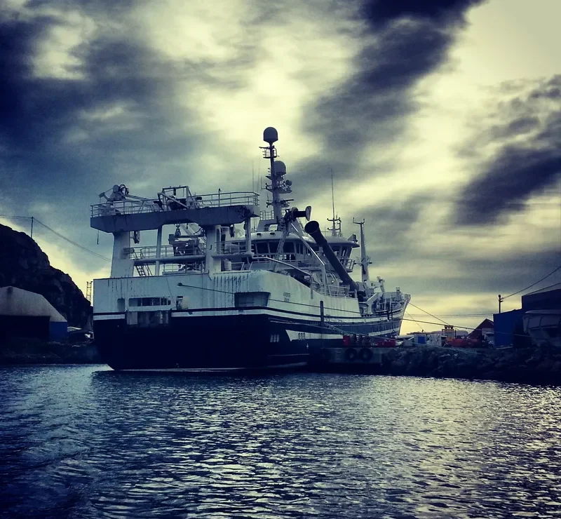 KNESTER General Cargo IMO 9378840 photo 8