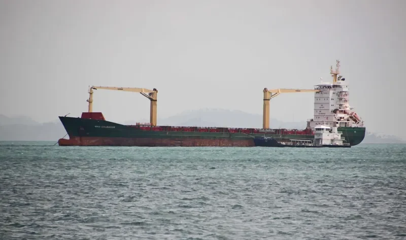 PACIFIC CARRIER General Cargo IMO 9378943