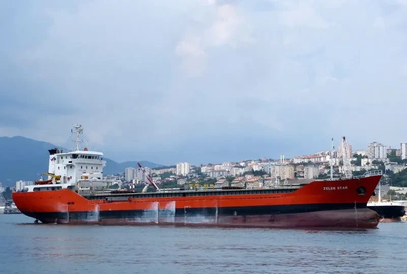 ZELEK STAR General Cargo IMO 9379117 photo 5