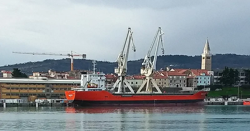 ZELEK STAR General Cargo IMO 9379117 photo 7