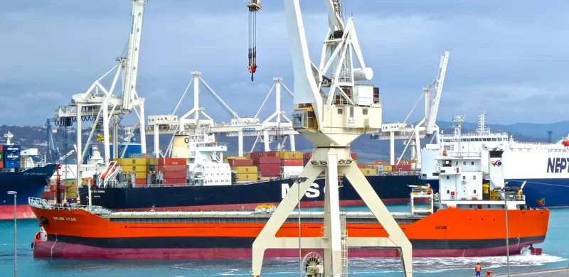 ZELEK STAR General Cargo IMO 9379117 photo 8