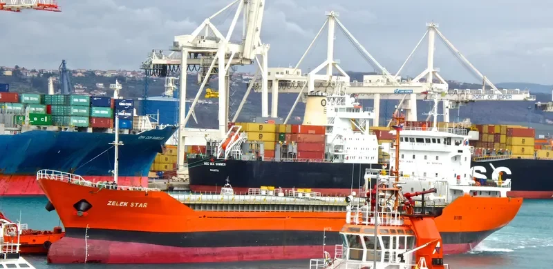 ZELEK STAR General Cargo IMO 9379117 photo 9