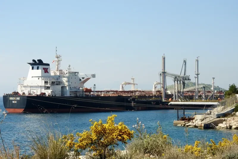 SHENLONG SPIRIT Tanker IMO 9379210 photo 5