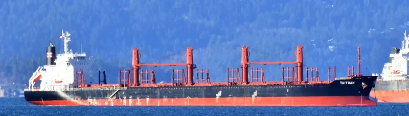 TAI YUAN General Cargo IMO 9379222
