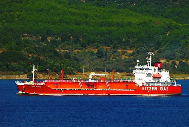 SIGAS INGRID General Cargo IMO 9379234 photo 2