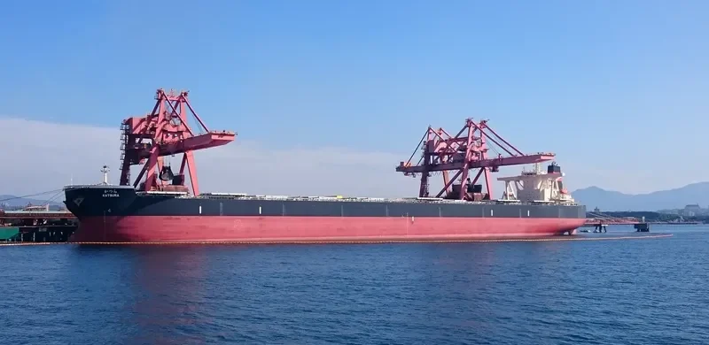 NSU KATSURA Bulk Carrier IMO 9379260 photo 3