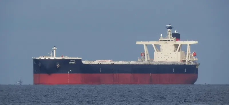 NSU KATSURA Bulk Carrier IMO 9379260 photo 6