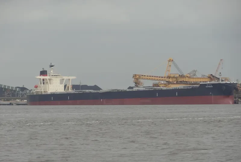 NSU KATSURA Bulk Carrier IMO 9379260 photo 8