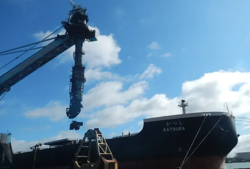 NSU KATSURA Bulk Carrier IMO 9379260 photo 9