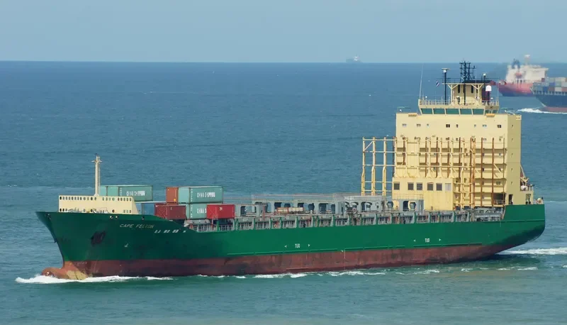 CAPE FELTON Container Ship IMO 9379375 photo 4
