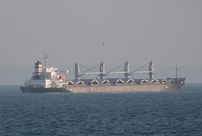 POLLUX Bulk Carrier IMO 9379648 photo 8
