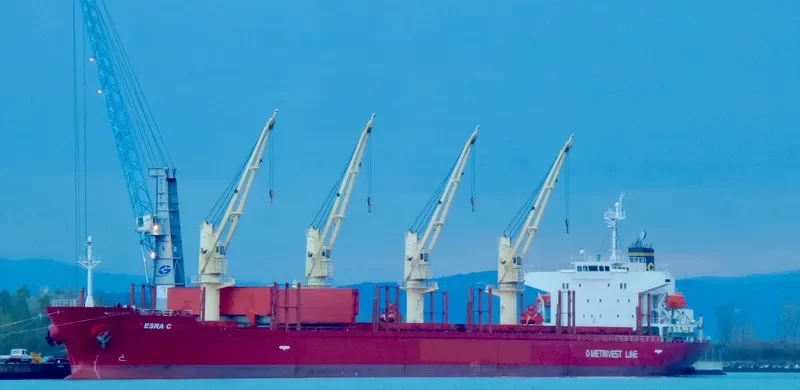 ESRA C Bulk Carrier IMO 9379662 photo 2