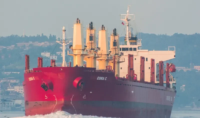 ESRA C Bulk Carrier IMO 9379662 photo 5