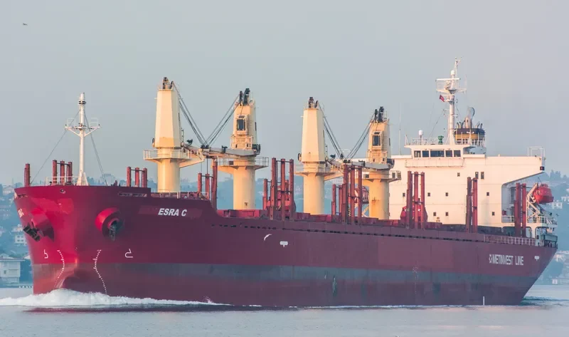 ESRA C Bulk Carrier IMO 9379662 photo 6