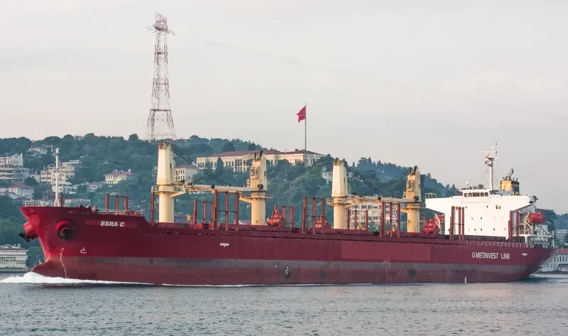 ESRA C Bulk Carrier IMO 9379662 photo 7