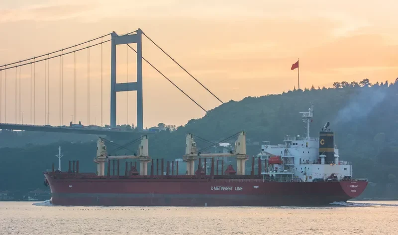 ESRA C Bulk Carrier IMO 9379662 photo 8