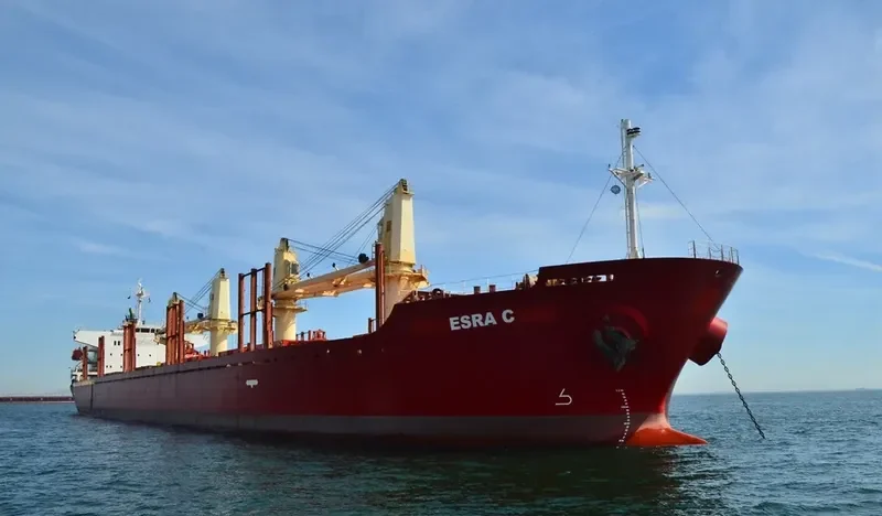 ESRA C Bulk Carrier IMO 9379662 photo 9