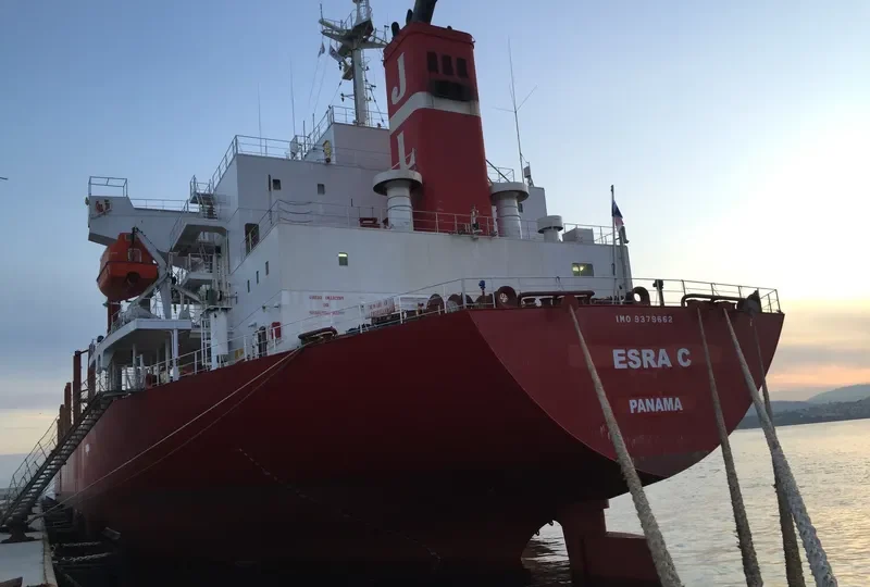 ESRA C Bulk Carrier IMO 9379662 photo 10