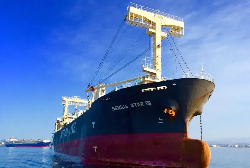 GENIUS STAR VIII General Cargo IMO 9379868