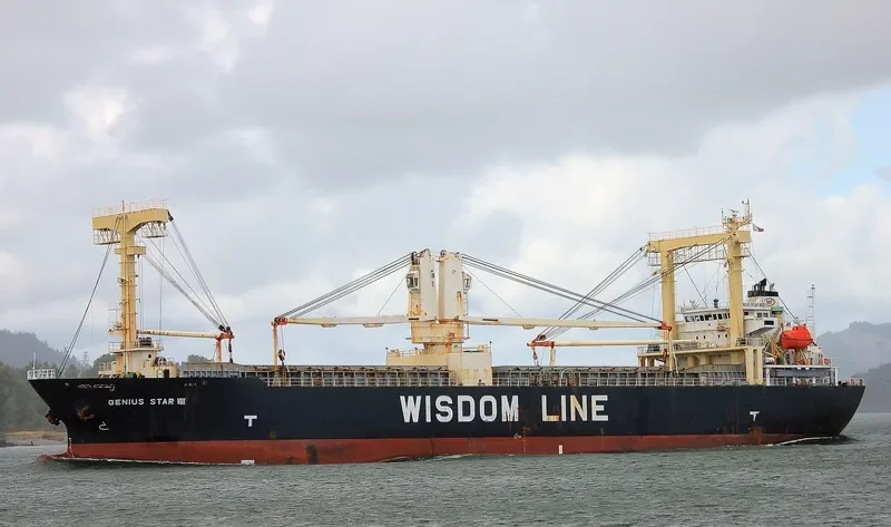 GENIUS STAR VIII General Cargo IMO 9379868 photo 3