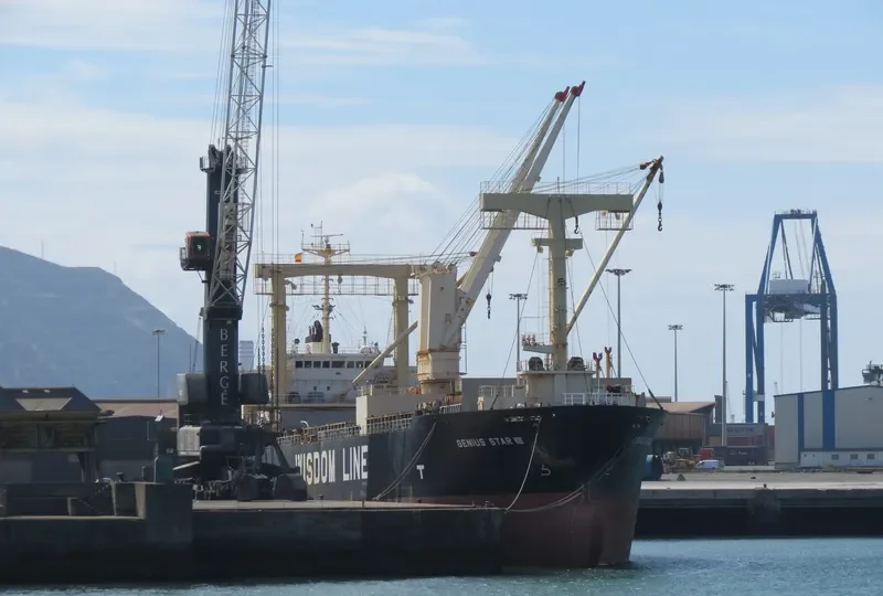 GENIUS STAR VIII General Cargo IMO 9379868 photo 5