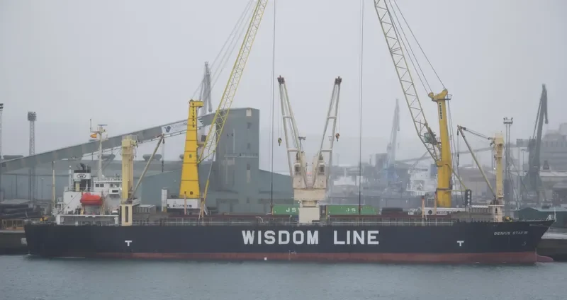 GENIUS STAR VIII General Cargo IMO 9379868 photo 9