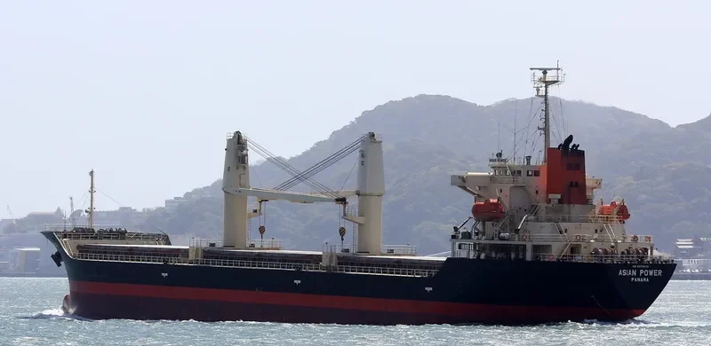 COQUIMBO I Bulk Carrier IMO 9379870 photo 2