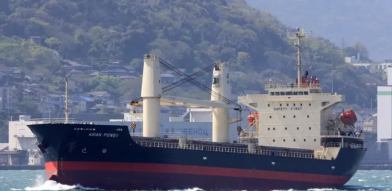 COQUIMBO I Bulk Carrier IMO 9379870 photo 3