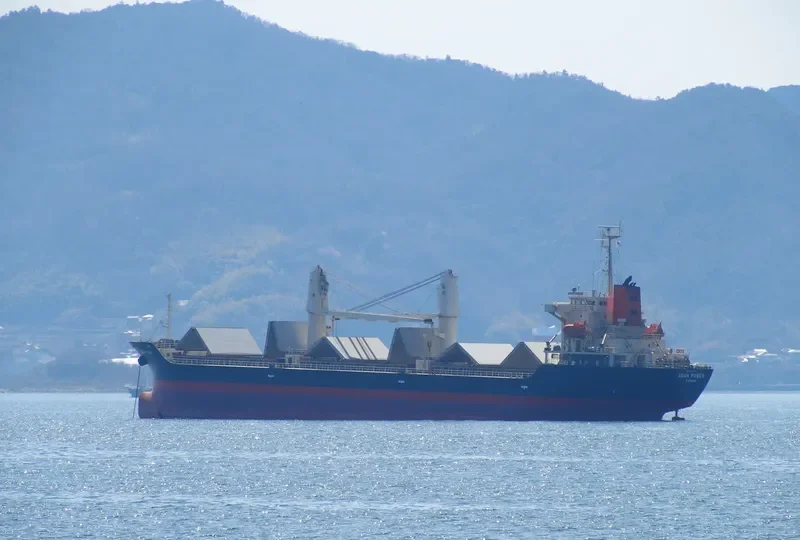 COQUIMBO I Bulk Carrier IMO 9379870 photo 6