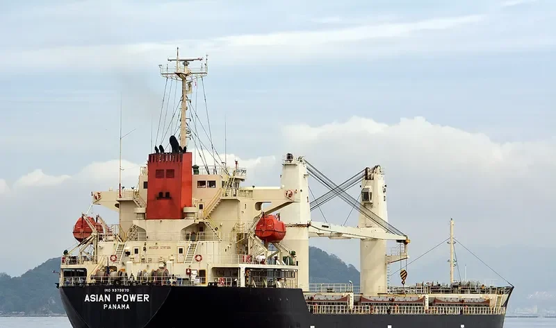 COQUIMBO I Bulk Carrier IMO 9379870 photo 7