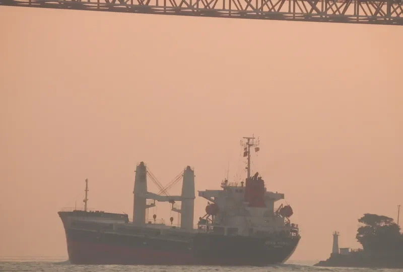 COQUIMBO I Bulk Carrier IMO 9379870 photo 8