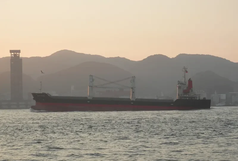 COQUIMBO I Bulk Carrier IMO 9379870 photo 9