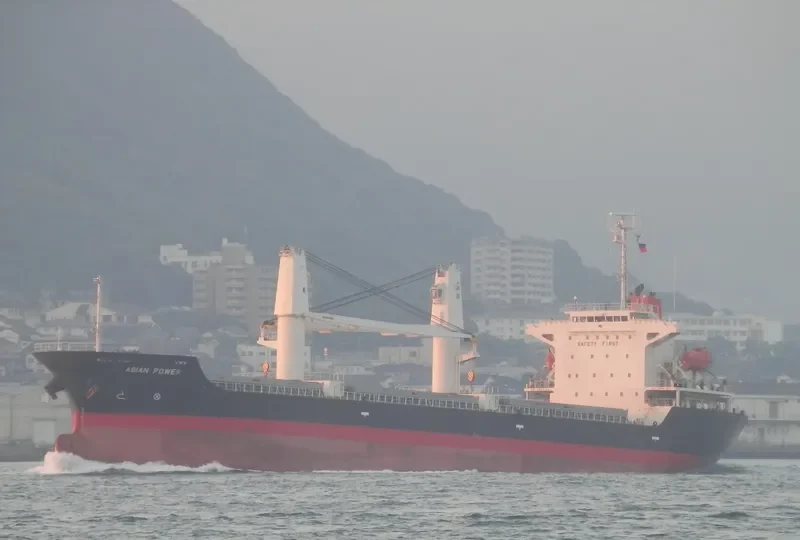 COQUIMBO I Bulk Carrier IMO 9379870 photo 10