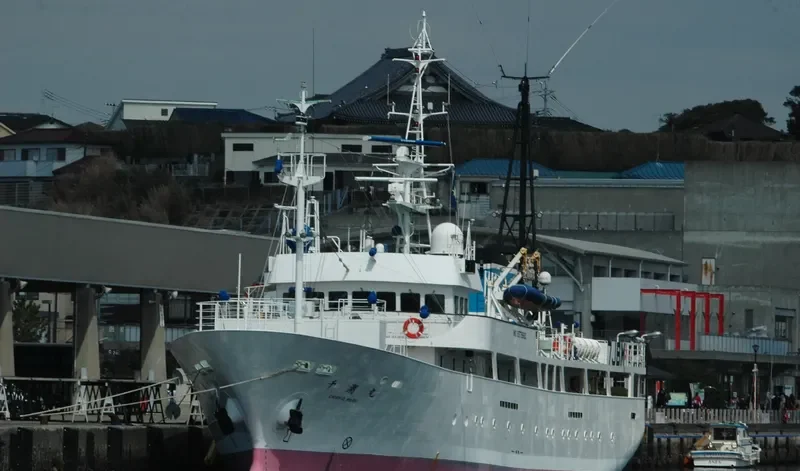 CHISHIO MARU General Cargo IMO 9379882 photo 9
