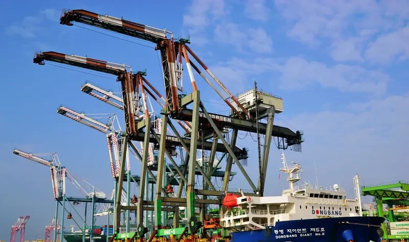 DONGBANG GIANT NO.5 General Cargo IMO 9379923 photo 4