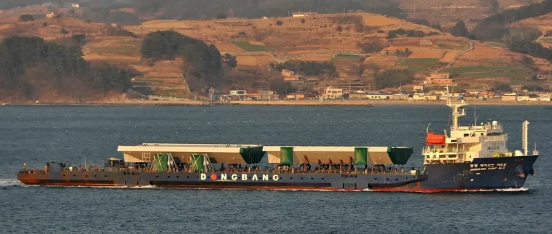 DONGBANG GIANT NO.5 General Cargo IMO 9379923 photo 6