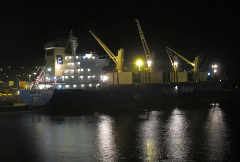 MAIPO RIVER General Cargo IMO 9379935 photo 4