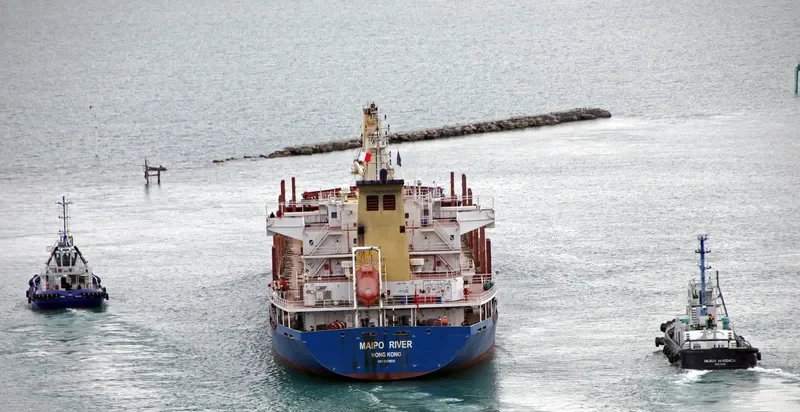 MAIPO RIVER General Cargo IMO 9379935 photo 7