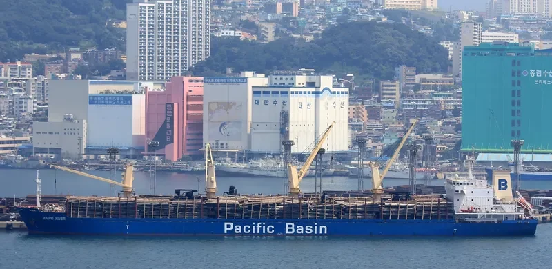 MAIPO RIVER General Cargo IMO 9379935 photo 10