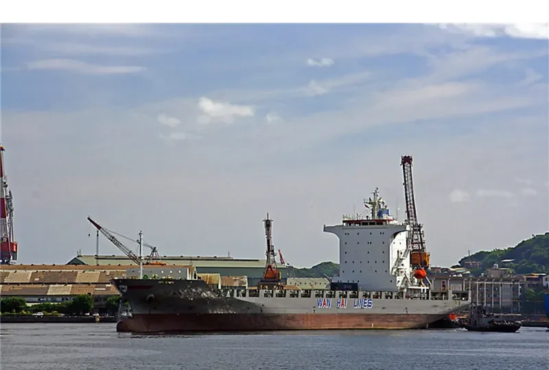 WAN HAI 172 Container Ship IMO 9380269 photo 8