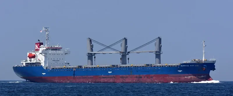 BMC ENDORA Bulk Carrier IMO 9380427