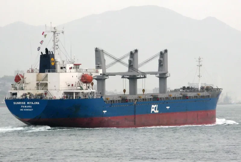 BMC ENDORA Bulk Carrier IMO 9380427 photo 3
