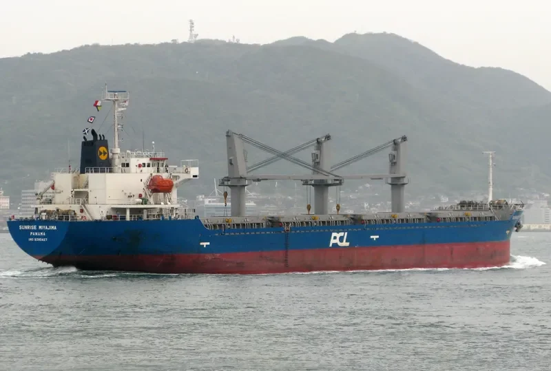 BMC ENDORA Bulk Carrier IMO 9380427 photo 4