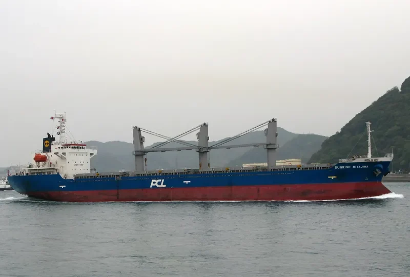 BMC ENDORA Bulk Carrier IMO 9380427 photo 7